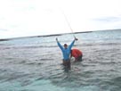 6lbs tippet, Cosmoledo Atoll, Seychelles -- #8 in IGFA list below.